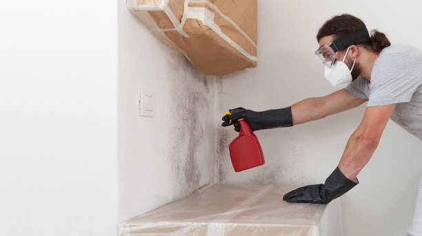 Professional Crawl Space Mold Remediation technician working in Wauconda, IL