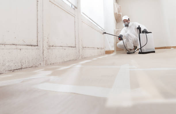 24/7 Emergency Crawl Space Mold Remediation experts in Wauconda, IL