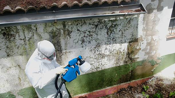 Top rated local Crawl Space Mold Remediation specialists in Wauconda, IL